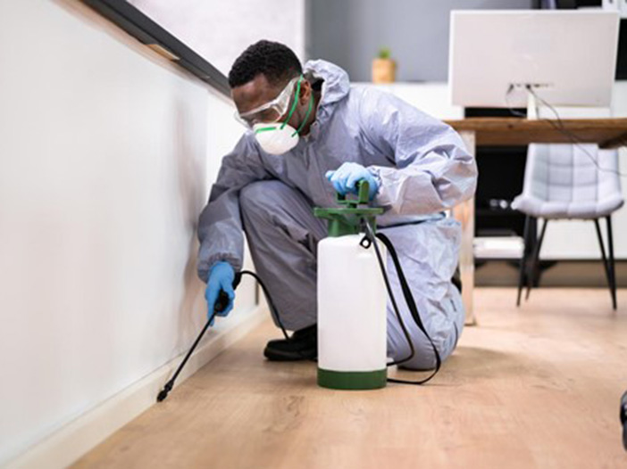 Northwest Pest Northwest Pest