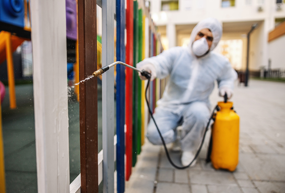 Northwest Pest Northwest Pest