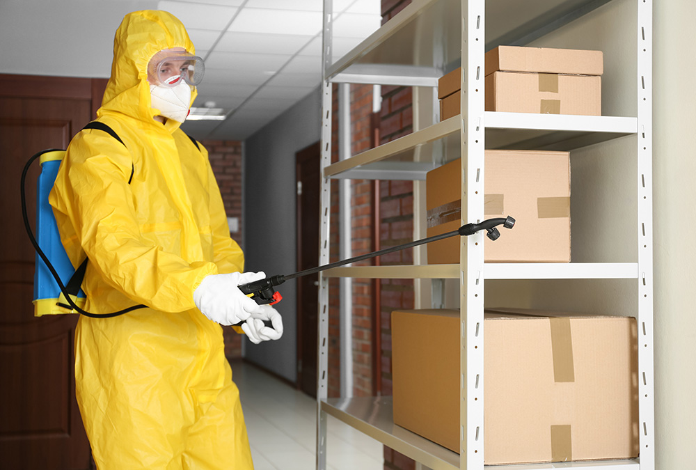 Northwest Pest Northwest Pest